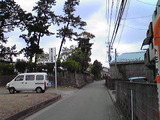 97ecf261.jpg