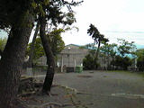 981f6130.jpg