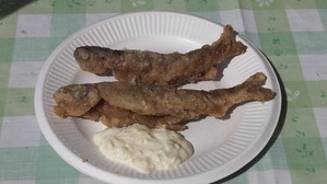 DSCF8652