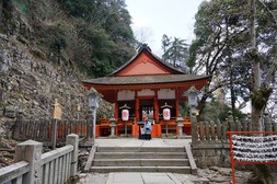 DSC00556