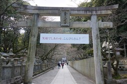 DSC00385
