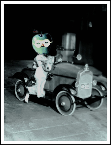apple in-toy-pedal-car
