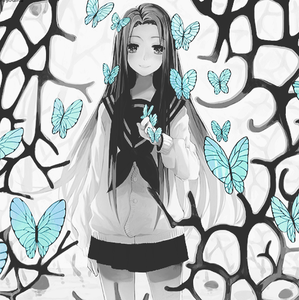 butterfly