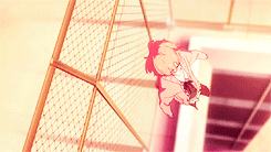 tumblr_msn9wd4Jue1ql2sjoo4_250