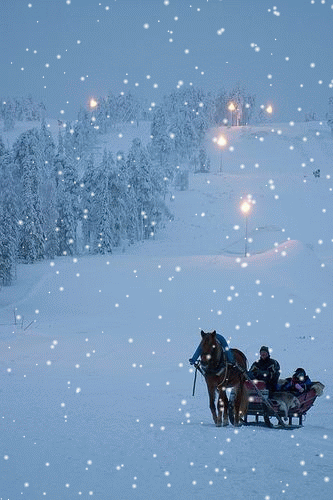 0d6f7ca5bc6e7415e01236a4ba06f535-SNOW