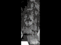 anigif vari
