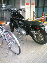 8ee17234.jpg