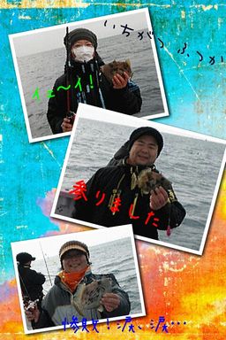 201212222835