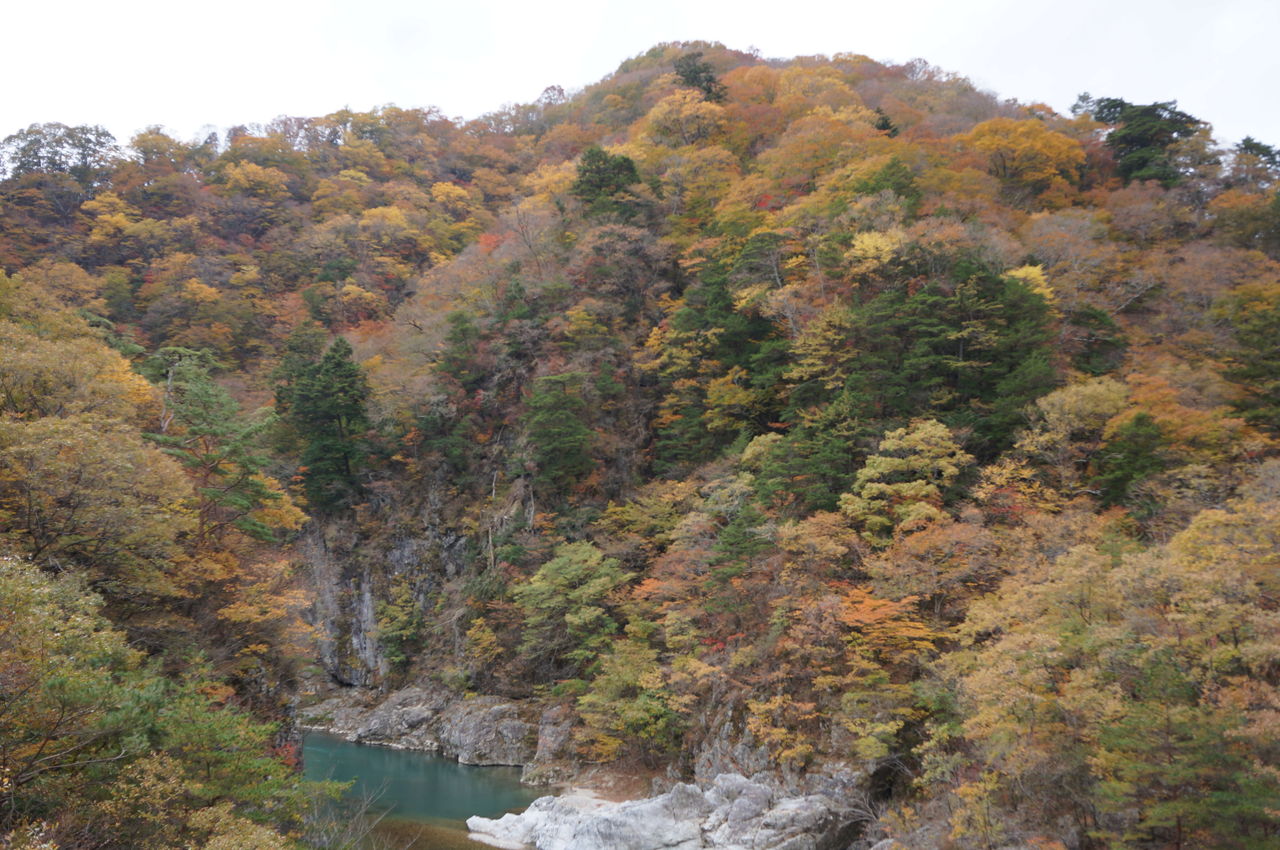DSC00468