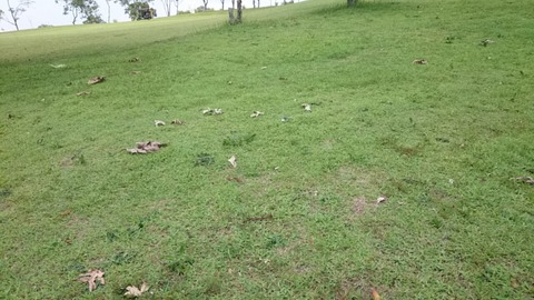 1417927164863