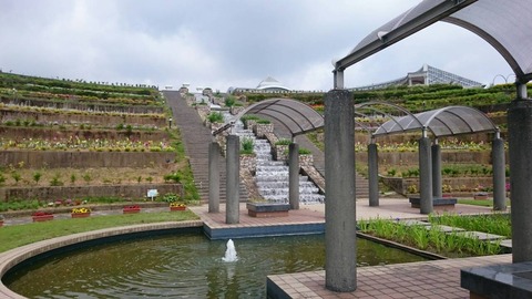 7396115