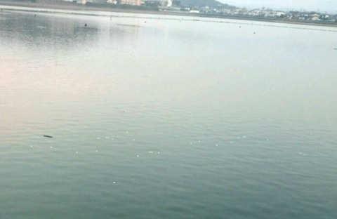 shareimage20141125_092748