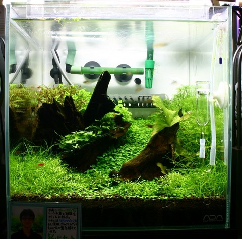 20120627214744d05