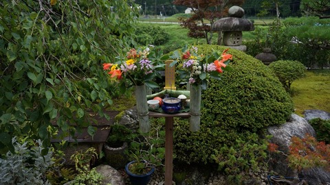 DSC00830