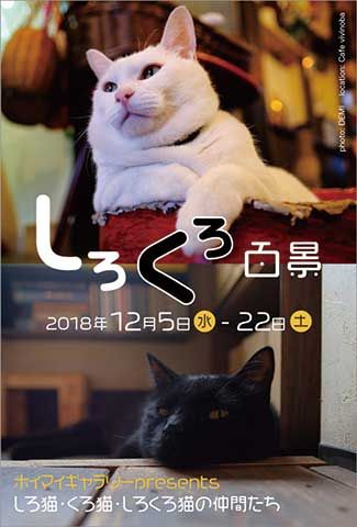しろくろ百景裏-resize