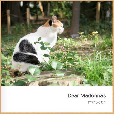 dearMadonnas