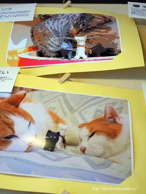 170417b-ねこひげ