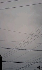 5054b909.jpg