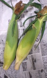 ff8e721e.jpg