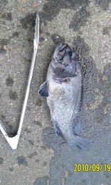 24cdae63.jpg
