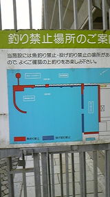 2db14f95.jpg