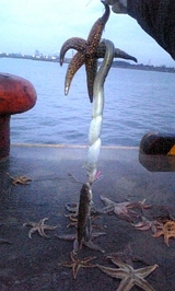 30ef72d2.jpg
