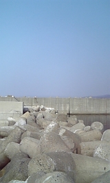 790a04a9.jpg