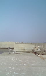 81216964.jpg