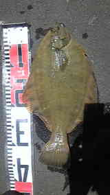 82f26c63.jpg
