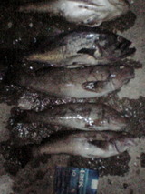 9f0b2ad4.jpg