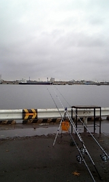 a41ea511.jpg