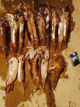 b70fecd5.jpg
