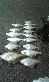 bdc9a8d4.jpg