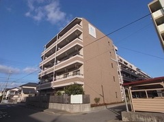 全景