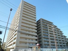 全景