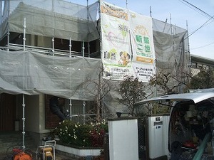 DSCF6321