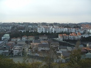 DSCF6323