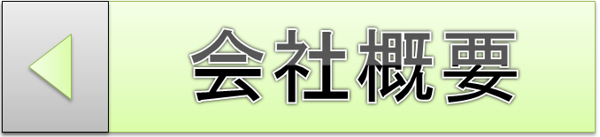 kaisyagaiyo