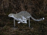 zoo2