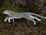 zoo