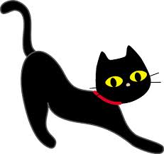 黒猫