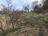 IMG_7615