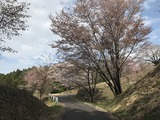 IMG_7644