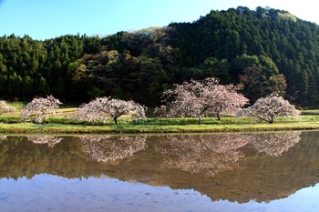 2013042703