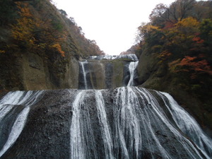 2013112502
