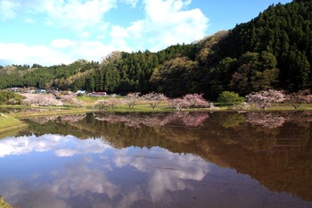 2013042704