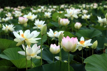 2013070302