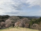 IMG_7624