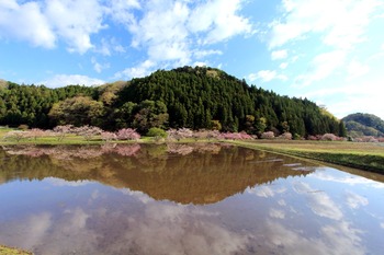 2013042702