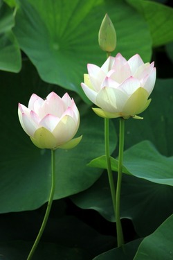 2013070301